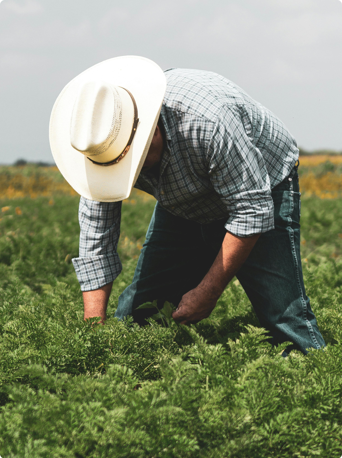 Casos de uso logísticos