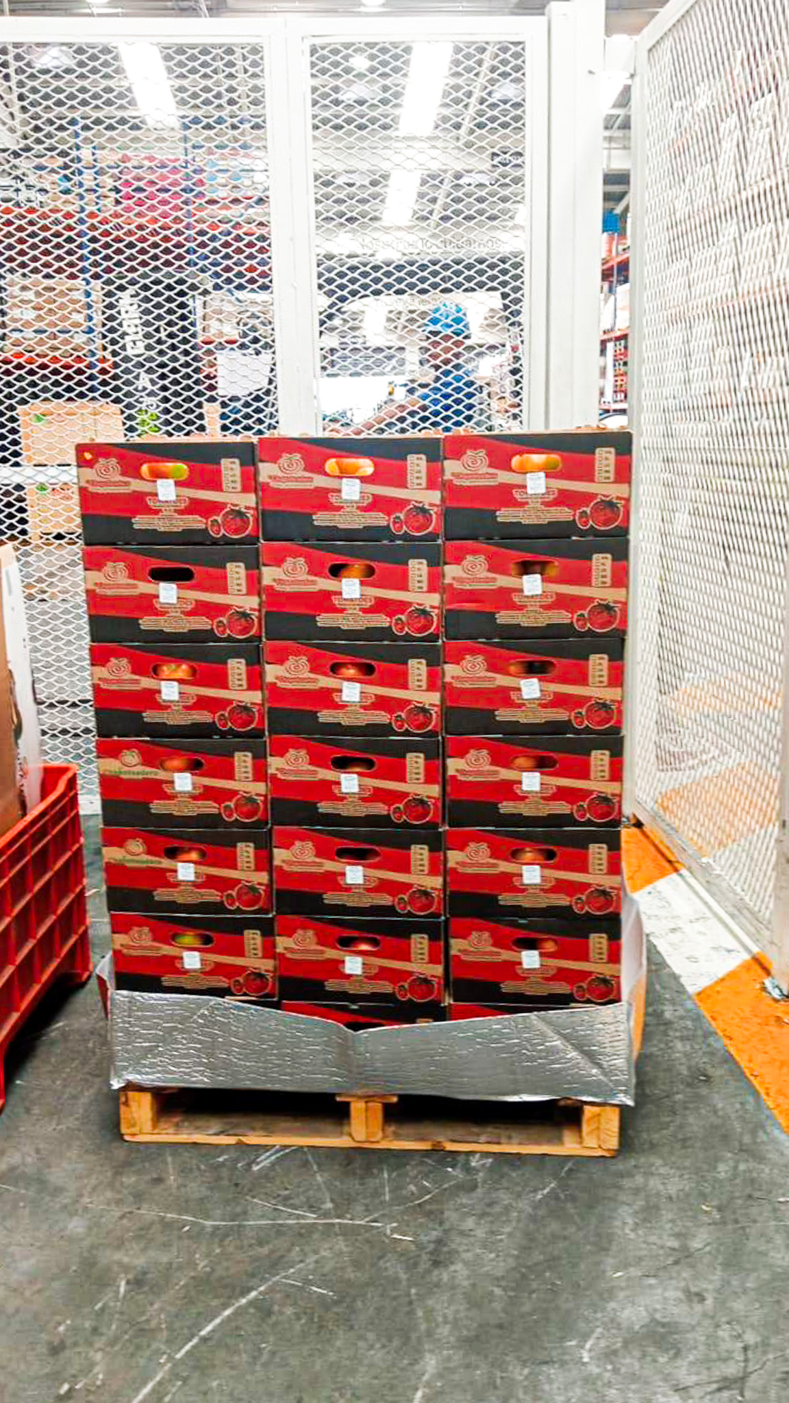 Empaque seguro para exportación